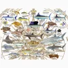 Guy Harvey® - Charts - Image 2