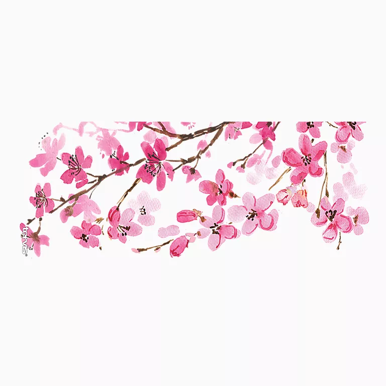 Japanese Cherry Blossom - Image 6