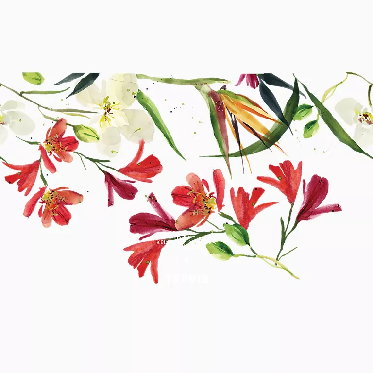 Kelly Ventura - Red Natal Lily Bloom - Image 2