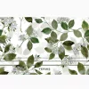 Kelly Ventura - Lilac Garden - Image 4