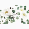 Kelly Ventura - Eucalyptus - Image 8