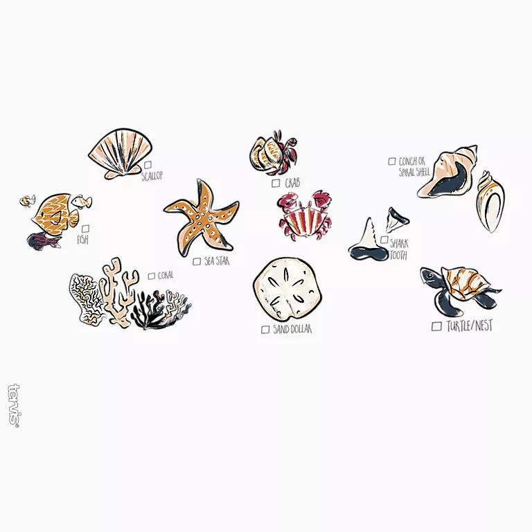 Shore Search - Image 5