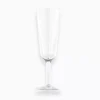 Tervis Symglass - Champagne Flute
