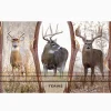 Deer Trio - Image 4