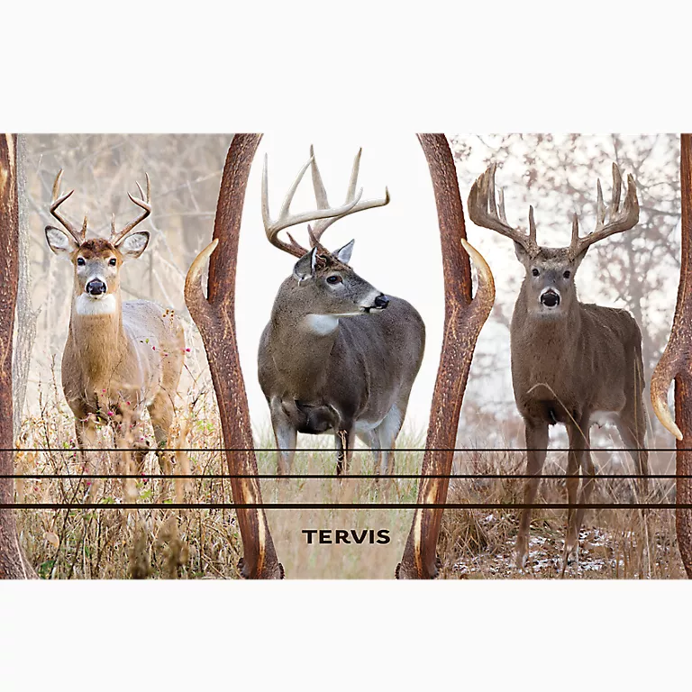 Deer Trio - Image 4