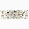 Guy Harvey® - Charts - Image 5