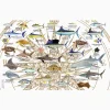 Guy Harvey® - Charts - Image 8