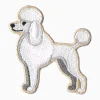 Dogs - My Poodle - Image 2