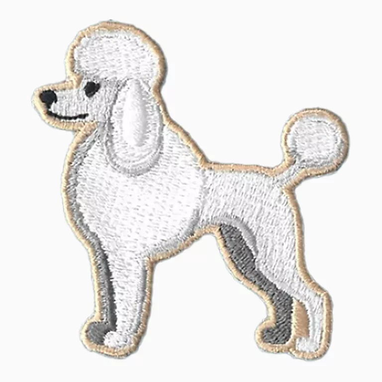 Alternative view of Dogs - My Poodle