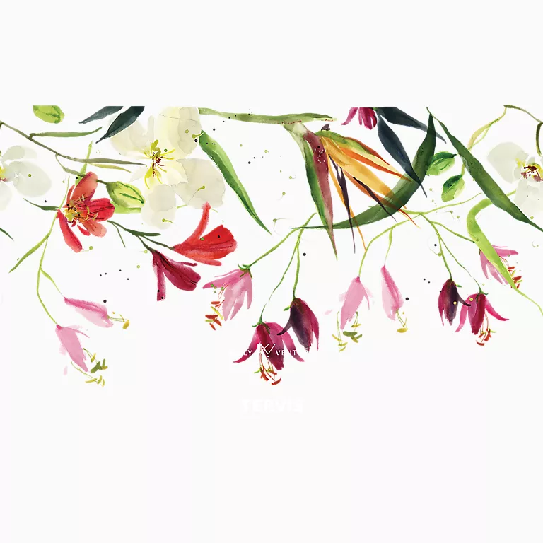 Kelly Ventura - Pink Natal Lily Bloom - Image 2