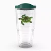 Green Turtle - Image 4