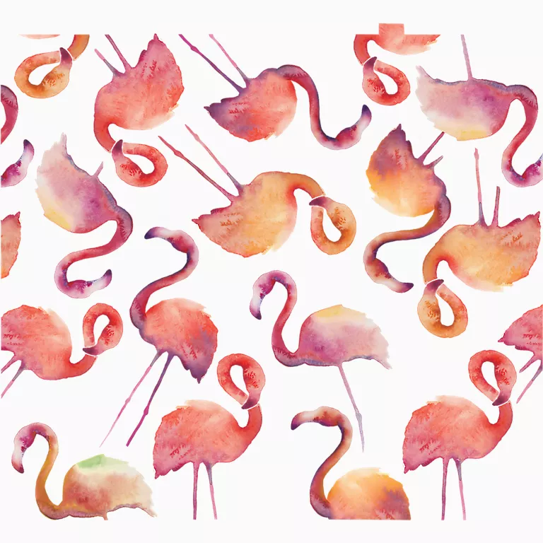 Alternative view of Flamingo Splash