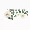 Kelly Ventura - Eucalyptus - Image 5