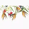 Kelly Ventura - Birds of Paradise - Image 2
