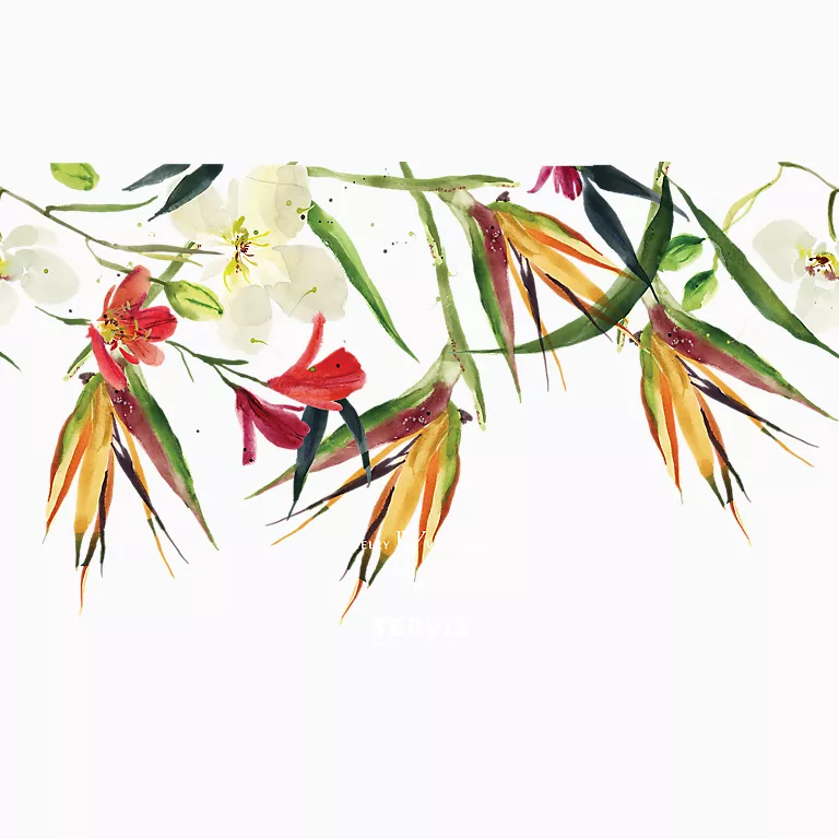 Kelly Ventura - Birds of Paradise - Image 2