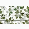 Kelly Ventura - Lilac Garden - Image 2