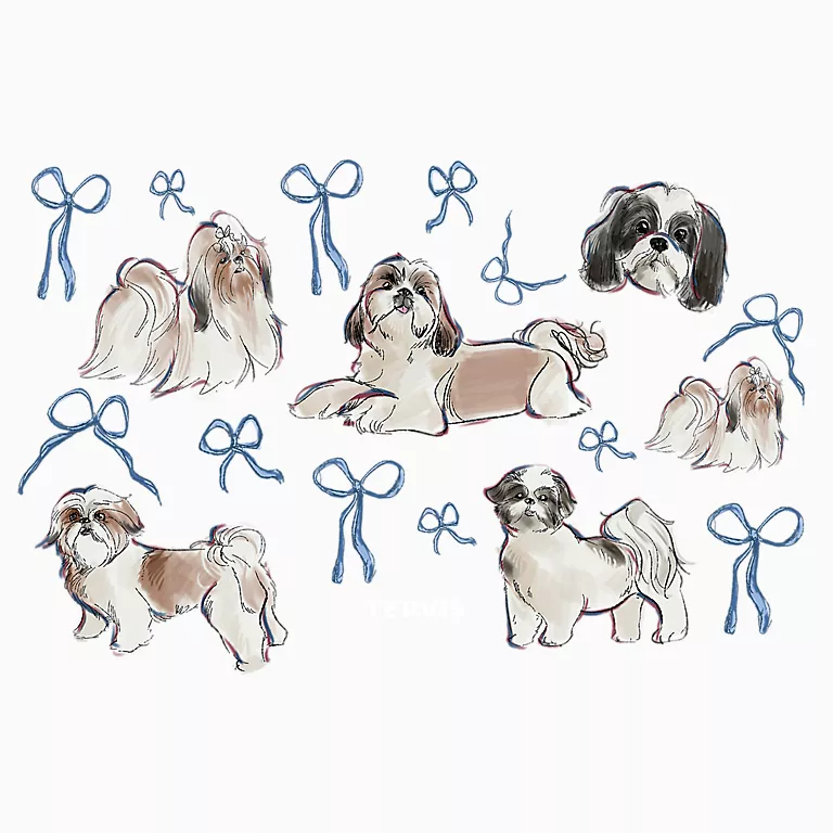 Alternative view of Dogs - Shih-Tzu All Over
