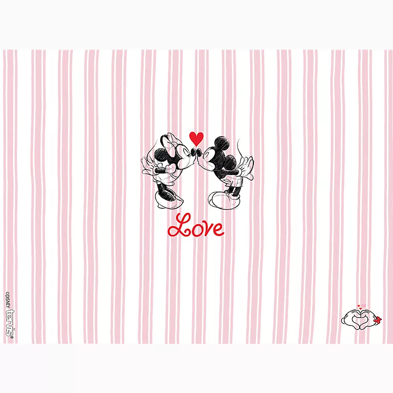 Alternative view of Disney - Mickey & Minnie Valentine