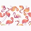 Flamingo Splash - Image 2