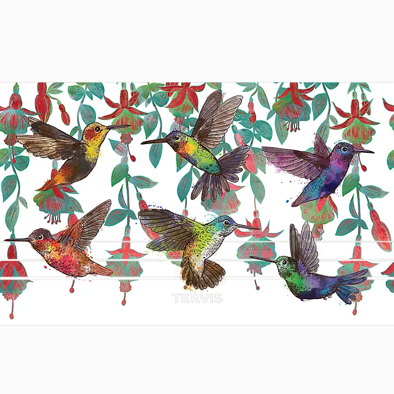 Alternative view of Colorful Hummingbirds