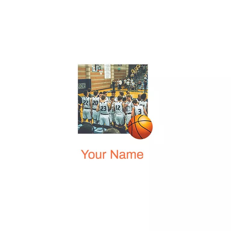 Alternative view of I Play Sports - Basketball