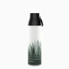 Green on Green Forest