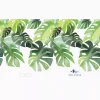 Yao Cheng - Philodendron - Image 2